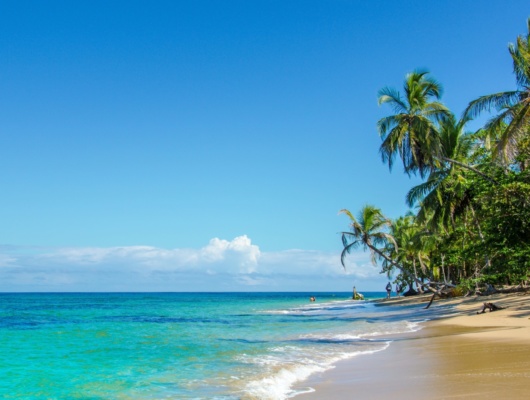 plage-caraibes-puerto-viejo